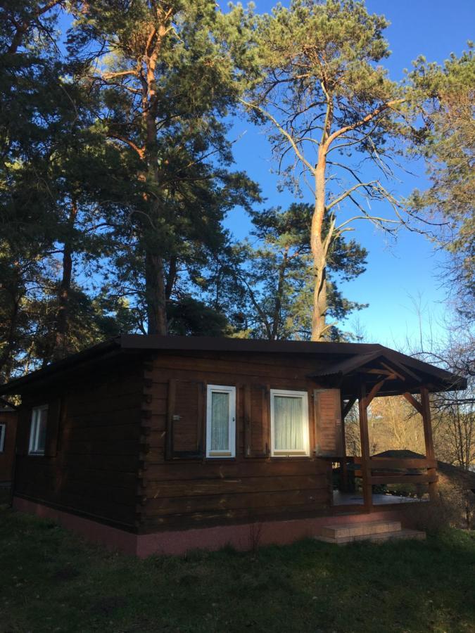 Sosnowy Domek Serpelice Exterior photo