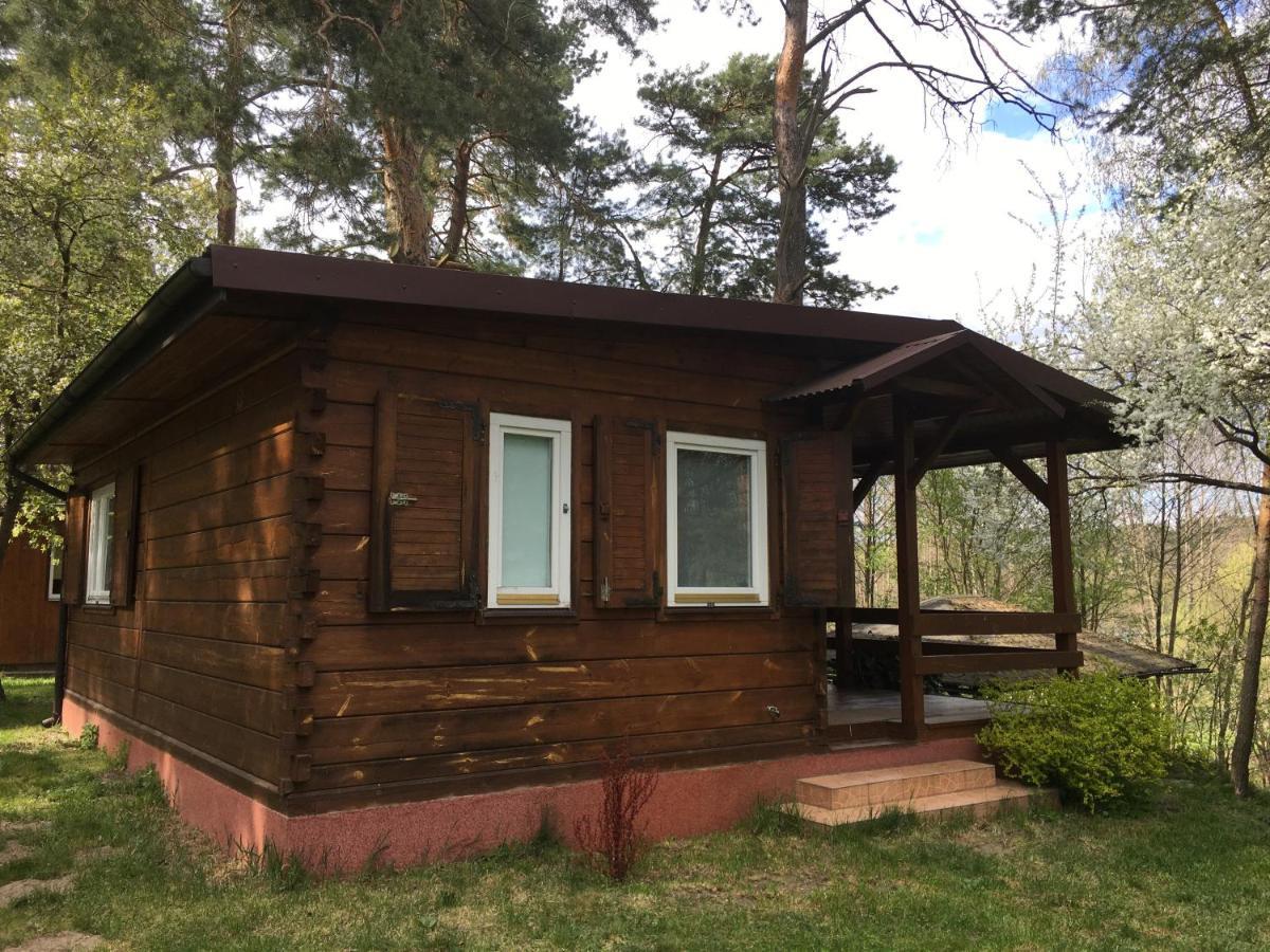 Sosnowy Domek Serpelice Exterior photo